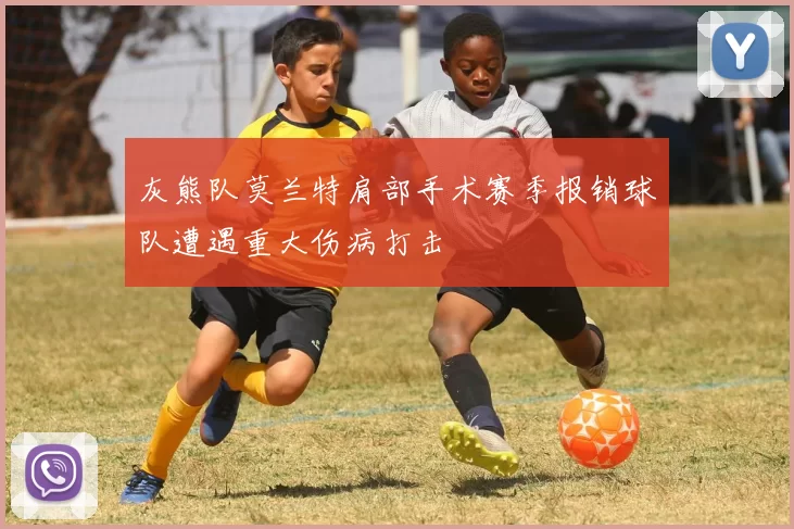 灰熊队莫兰特肩部手术赛季报销球队遭遇重大伤病打击